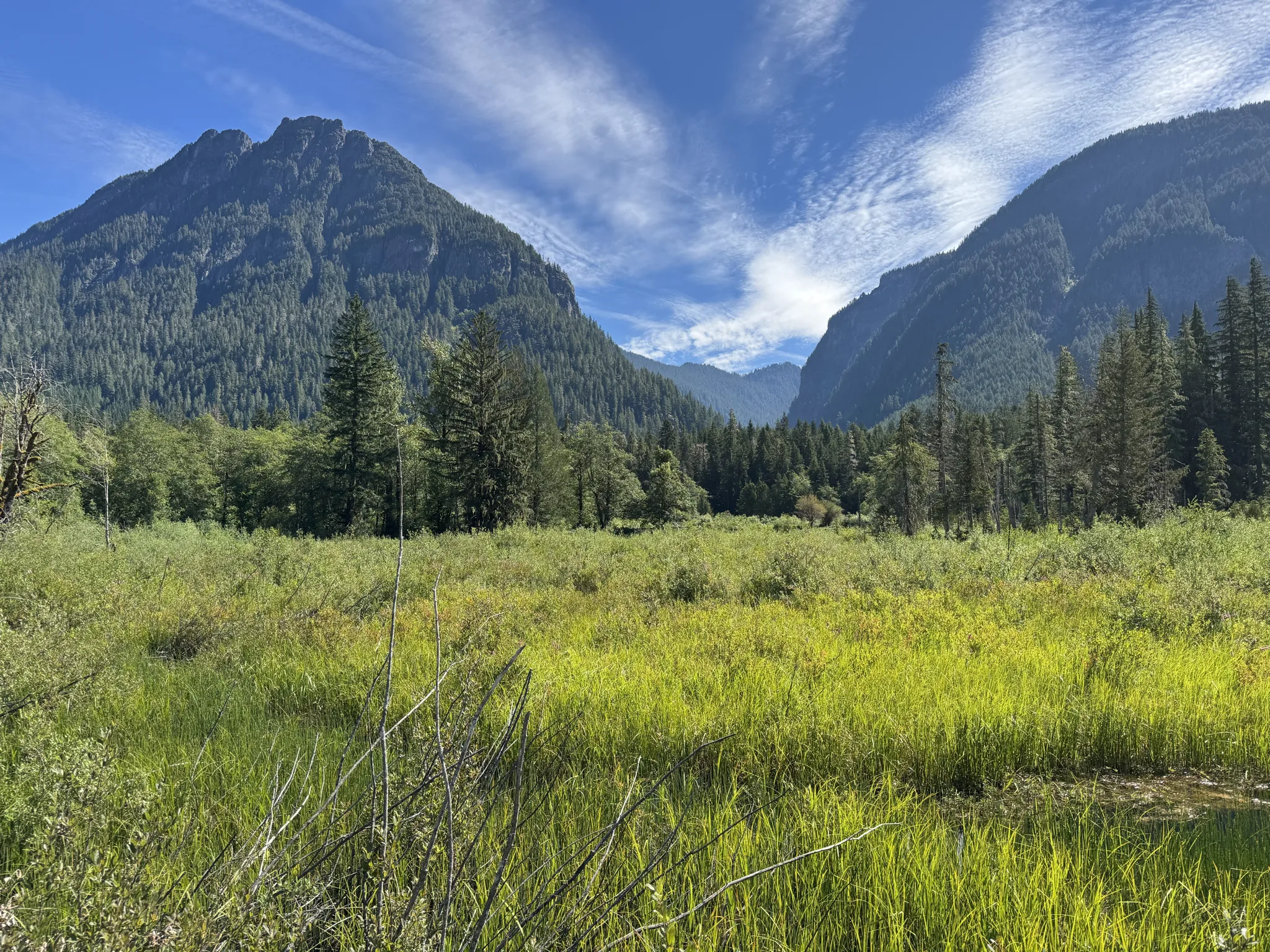 View of wetlands with mountains in the background
