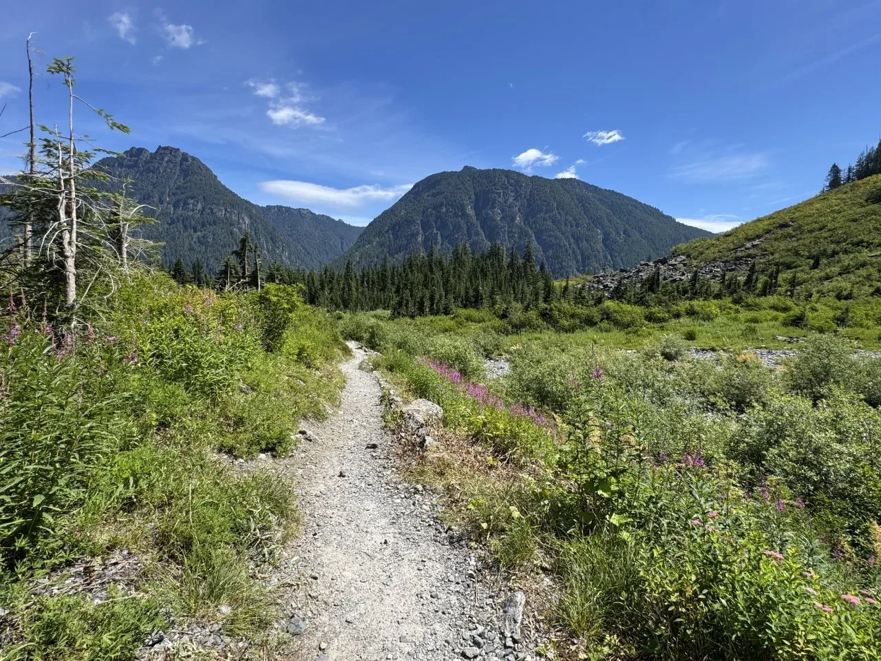 A trail with mountains in the distance.
