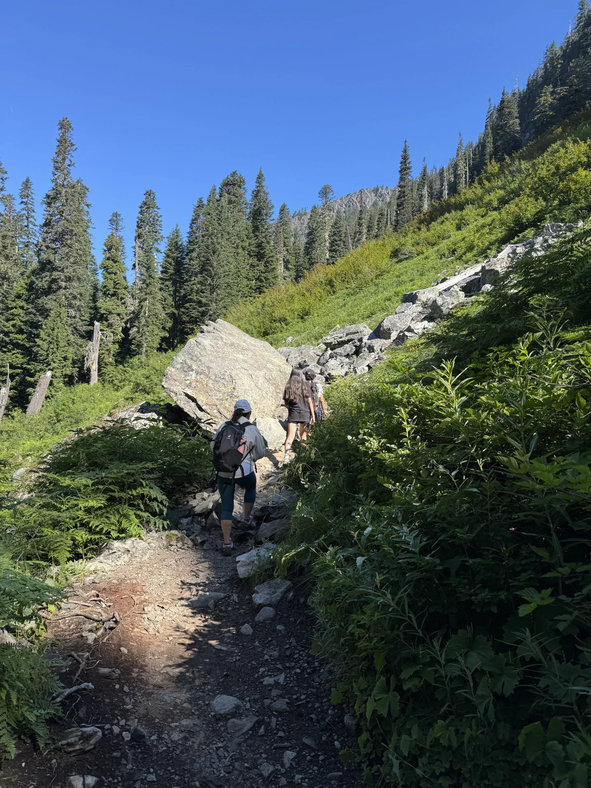 Hikers turning on a trail switchback and then heading up hill.